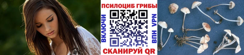 купить  сайты  Людиново  Псилоцибиновые грибы MAGIC MUSHROOMS 